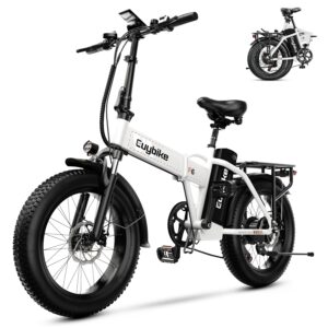 Bluebiko Folding Electric Bike, 1000W Peak Motor