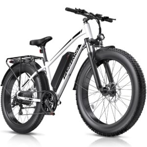 Funhang EB-S1 Electric Mountain Bike, 500W Motor