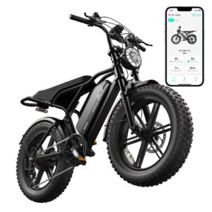 TST R004 Fat Tire Electric Bike, 1500W Peak Motor